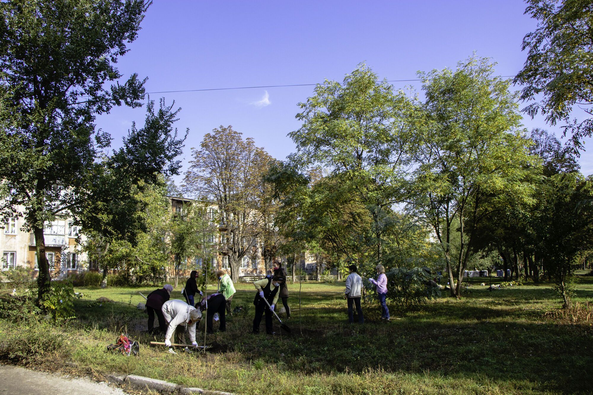 В Днепре слушатели "Университета третьего возраста" и другие горожане высадили 170 деревьев