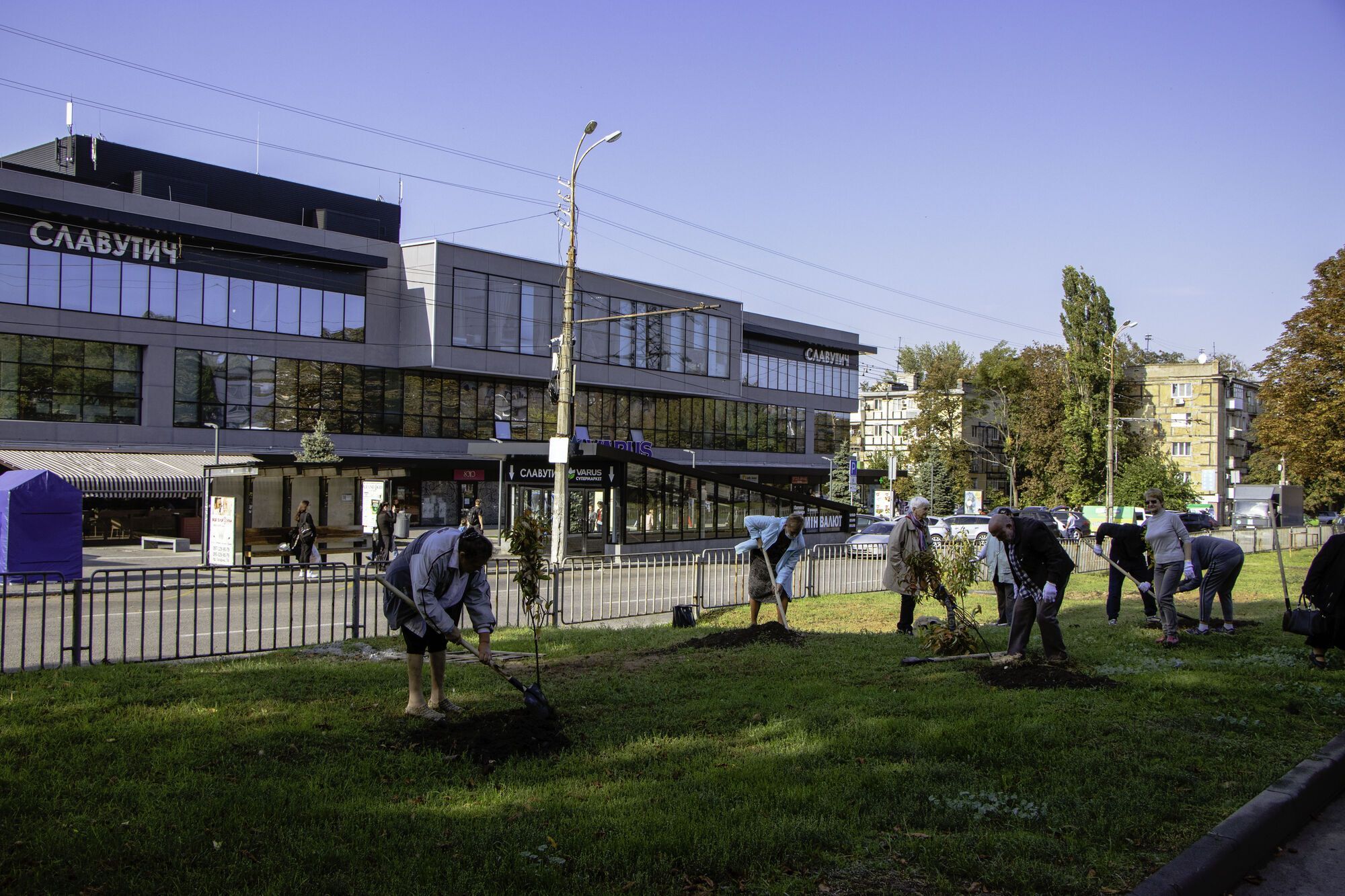 В Днепре слушатели "Университета третьего возраста" и другие горожане высадили 170 деревьев