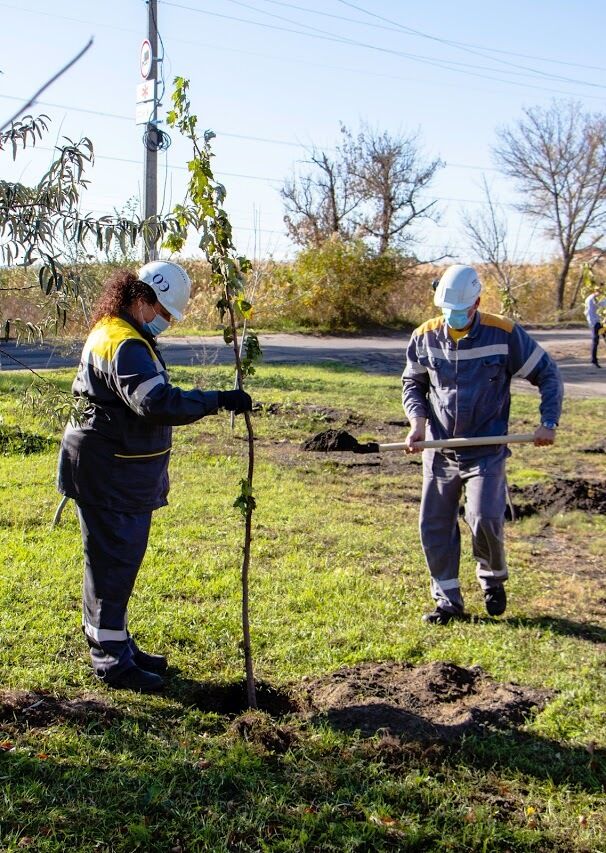 В Днепре работники ДТЭК и горсовета высадили деревья