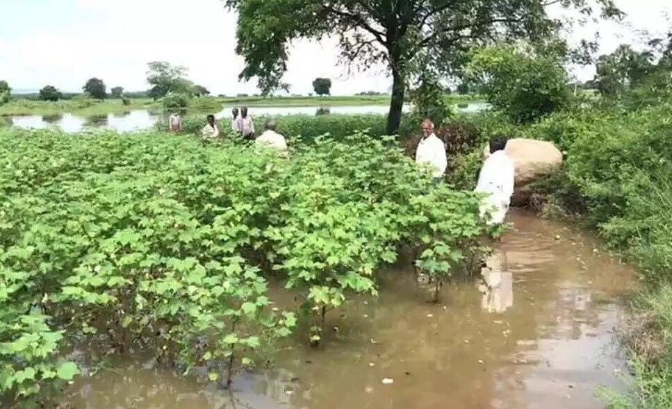 Наводнение в Индии уничтожило урожая на миллиарды.
