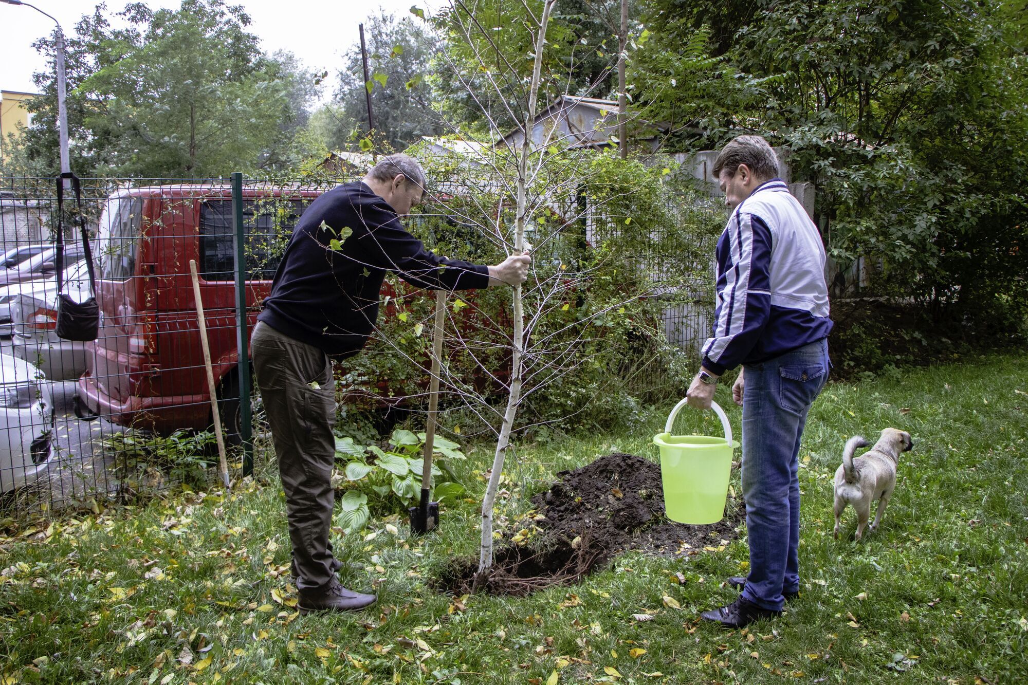 Дніпро-квітучий: співробітники мерії та мешканці ОСББ висадили 70 молодих дерев