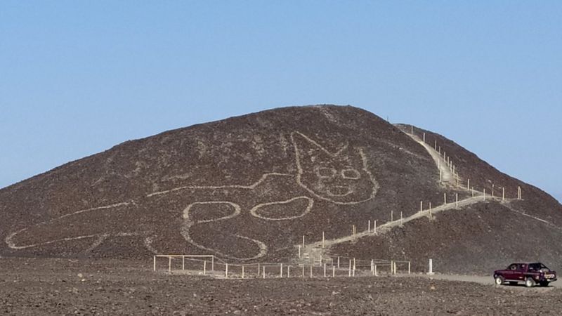 Изображение кота обнаружили на плато Наска