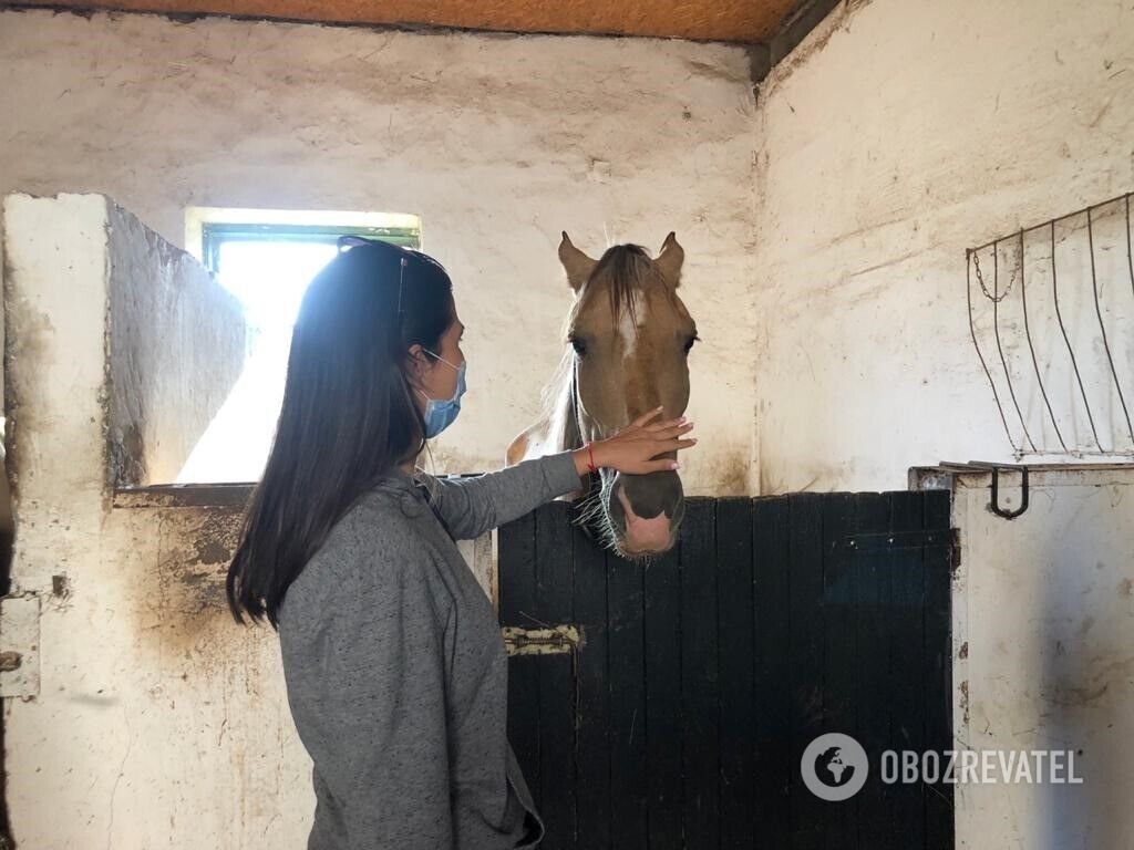 Замок Сент-Миклош: поможем украинским художникам спасти символ любви на Закарпатье!