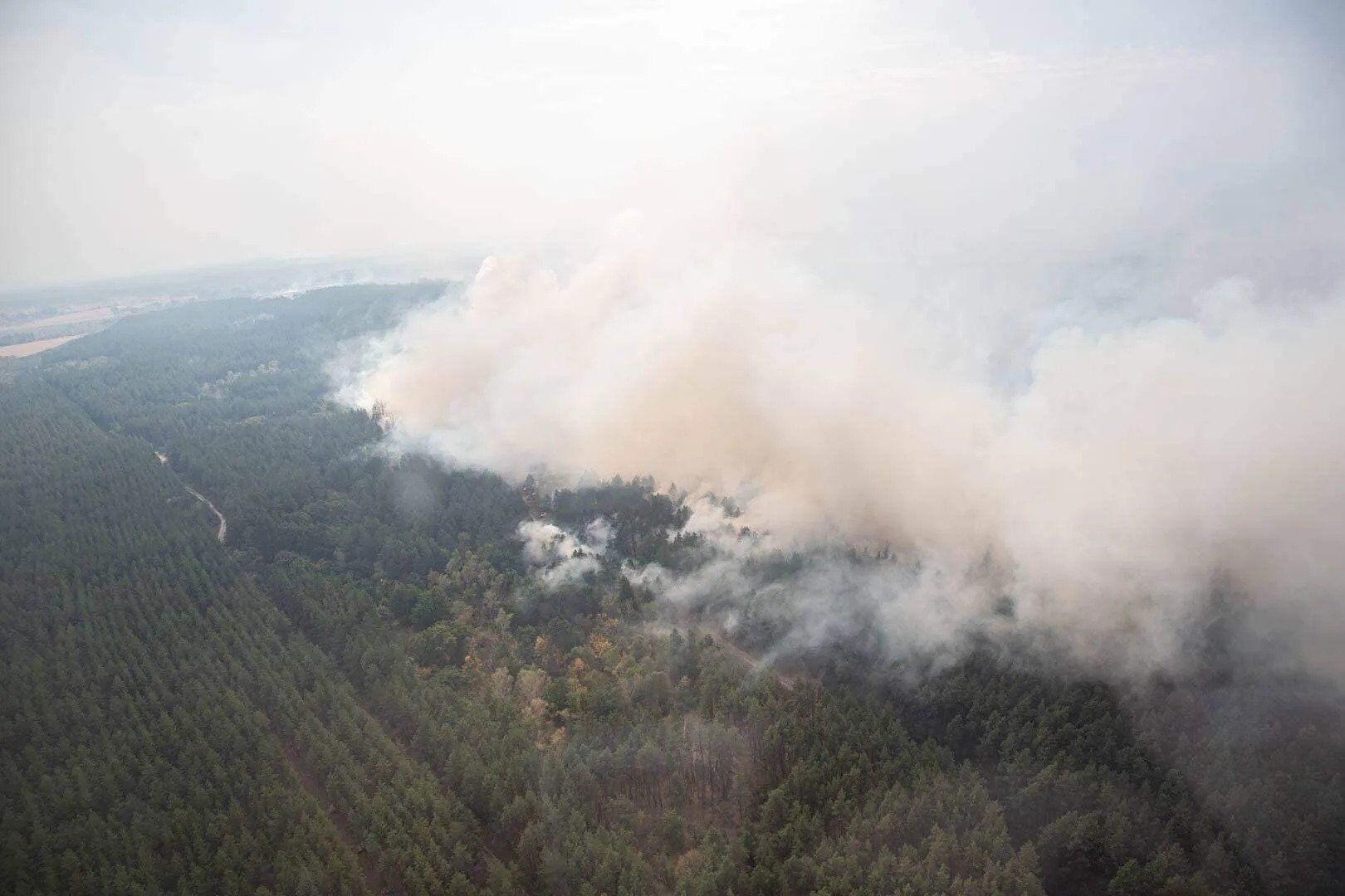 Площа пожеж на Луганщині становить понад 20 тис. гектарів.