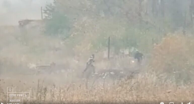 Террористы устроили поджоги на Луганщине возле позиций ВСУ: появилось видеодоказательство