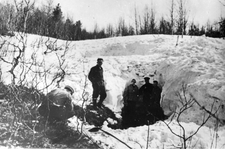 Тайна певевала Дятлова: история трагической гибели студентов