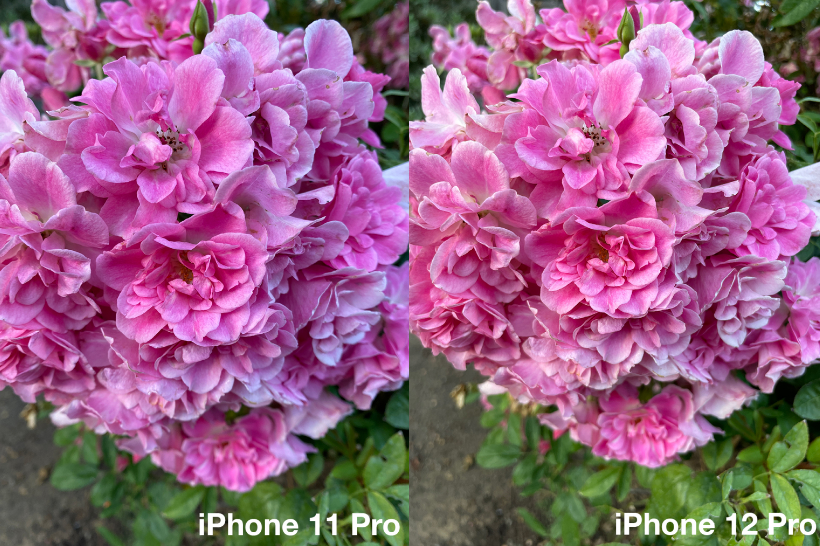 Появились первые фото с камеры iPhone 12: сравнительные снимки