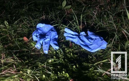 В Кривом Роге на территории парка обнаружили тело мужчины