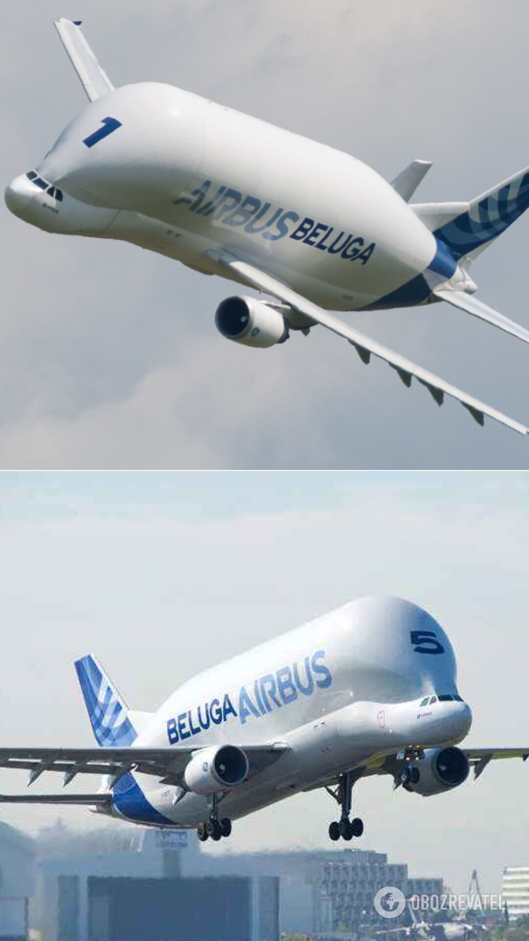 Літак A300-600ST, який прозвали Білугою в авіаційній галузі. Його довжина 56 метрів, крило 45 метрів, висота 17 метрів і порожня маса 86 тонн, максимальна злітна маса Beluga становить 155 тонн. Було випущено всього п'ять екземплярів такого літака