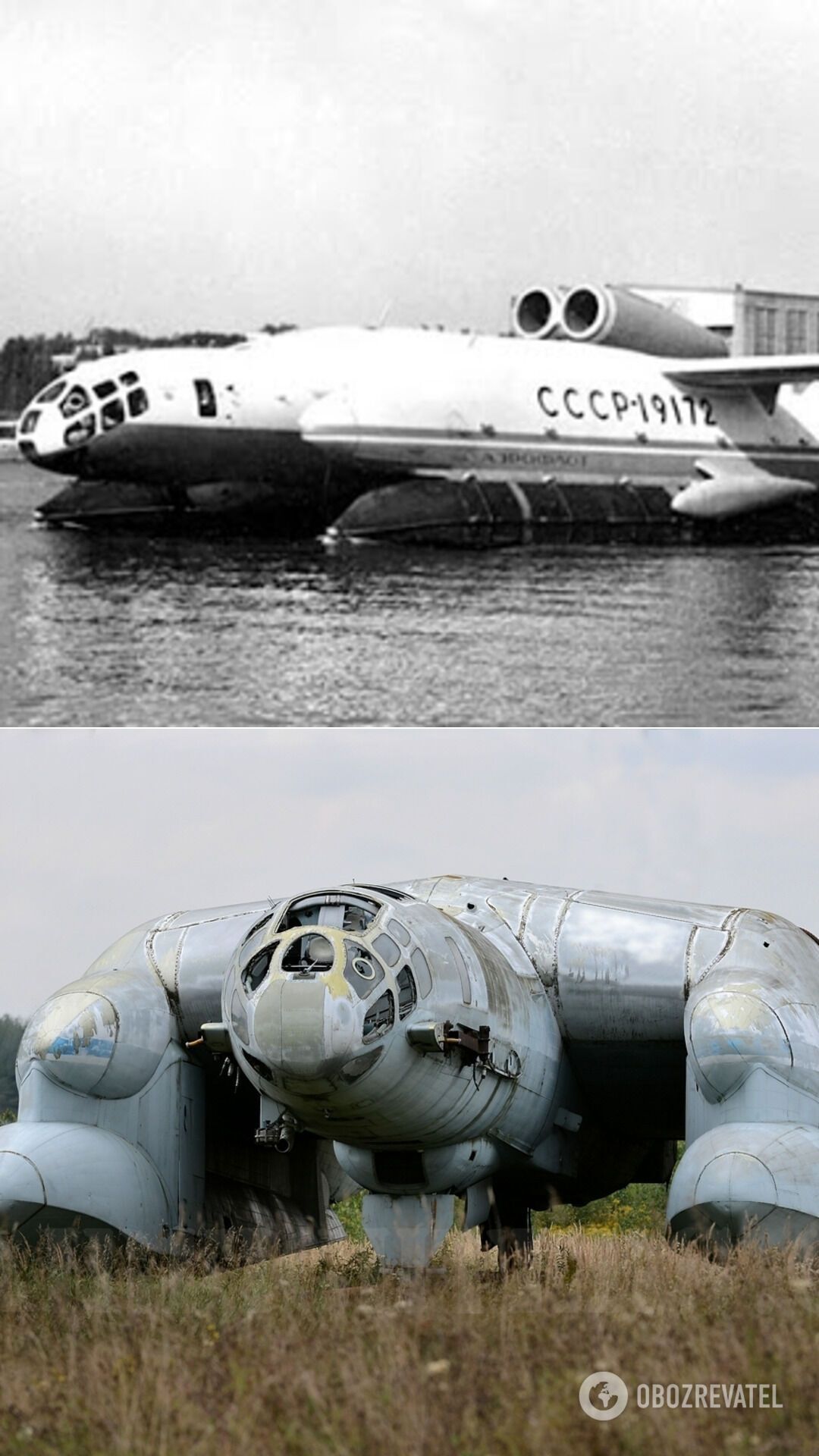 ВВА-14 радянсько-італійського конструктора Роберта Бартіні – справжнє "повітряне чудовисько" з вертикальним зльотом і посадкою, амфібія, екранольот, апарат мав досить значну вантажопідйомність. Проєкт виявився надто амбіційним: лише один із двох ВВА-14 зберігся досі і доживає свого віку в авіаційному музеї в підмосковному Моніно