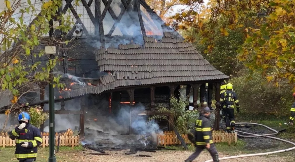 Аби загасити пожежу в празькому парку, знадобилося 6 екіпажів рятувальників