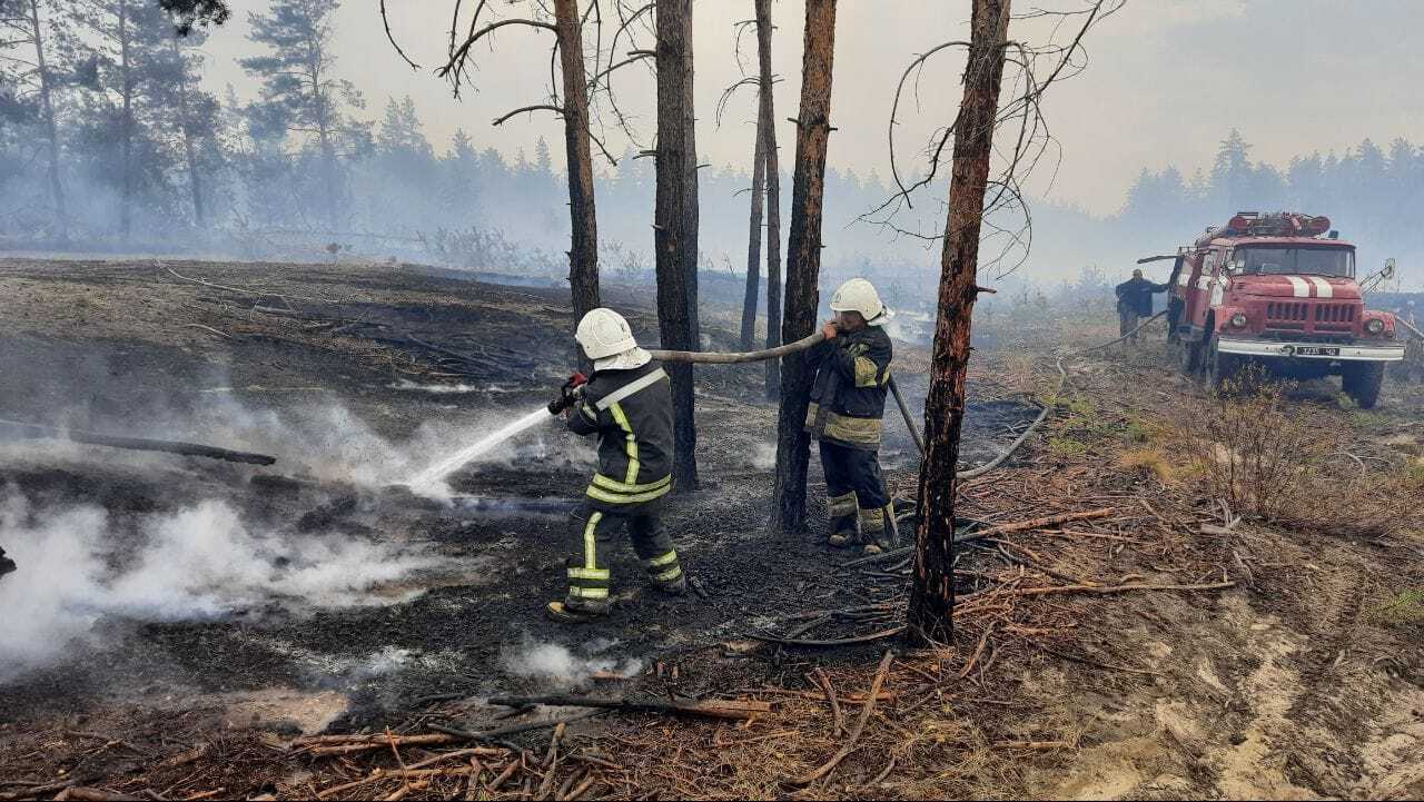 Лесную подстилку вблизи села Чмыровка погасили
