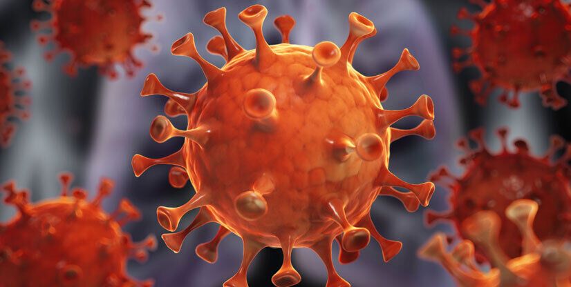 Ученые нашли новую разновидность коронавируса