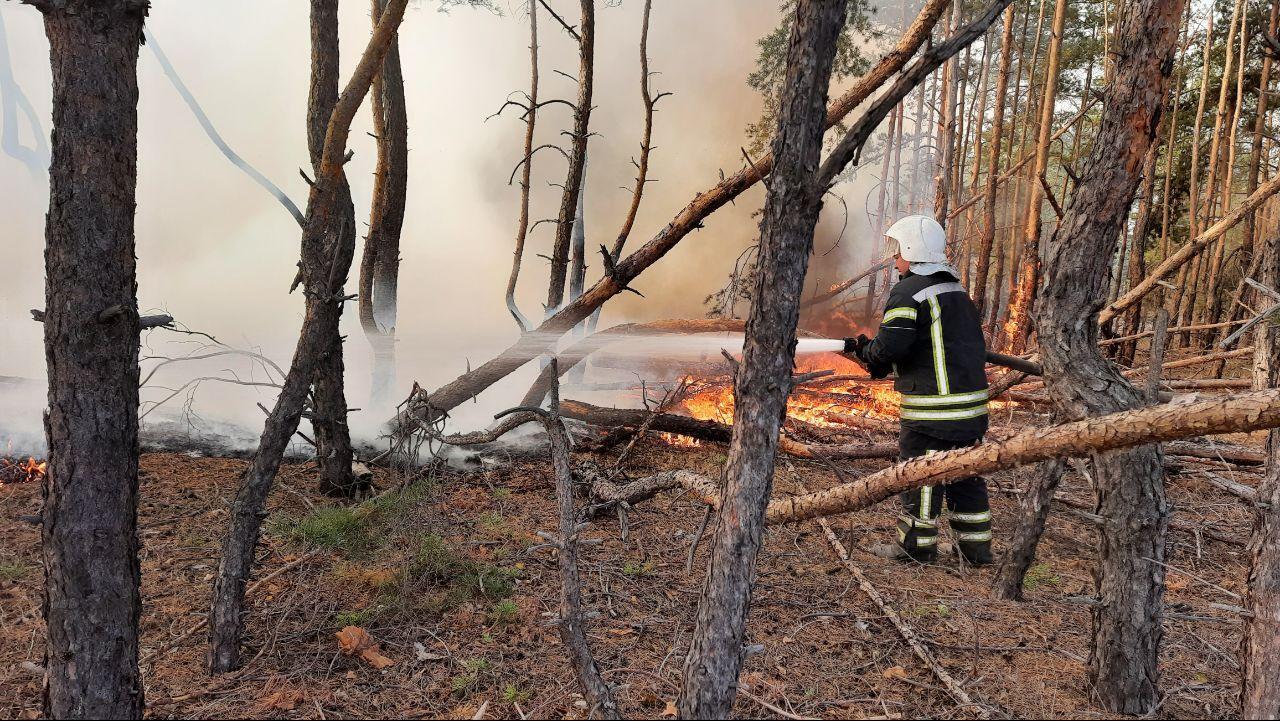 Пожары в Луганской области