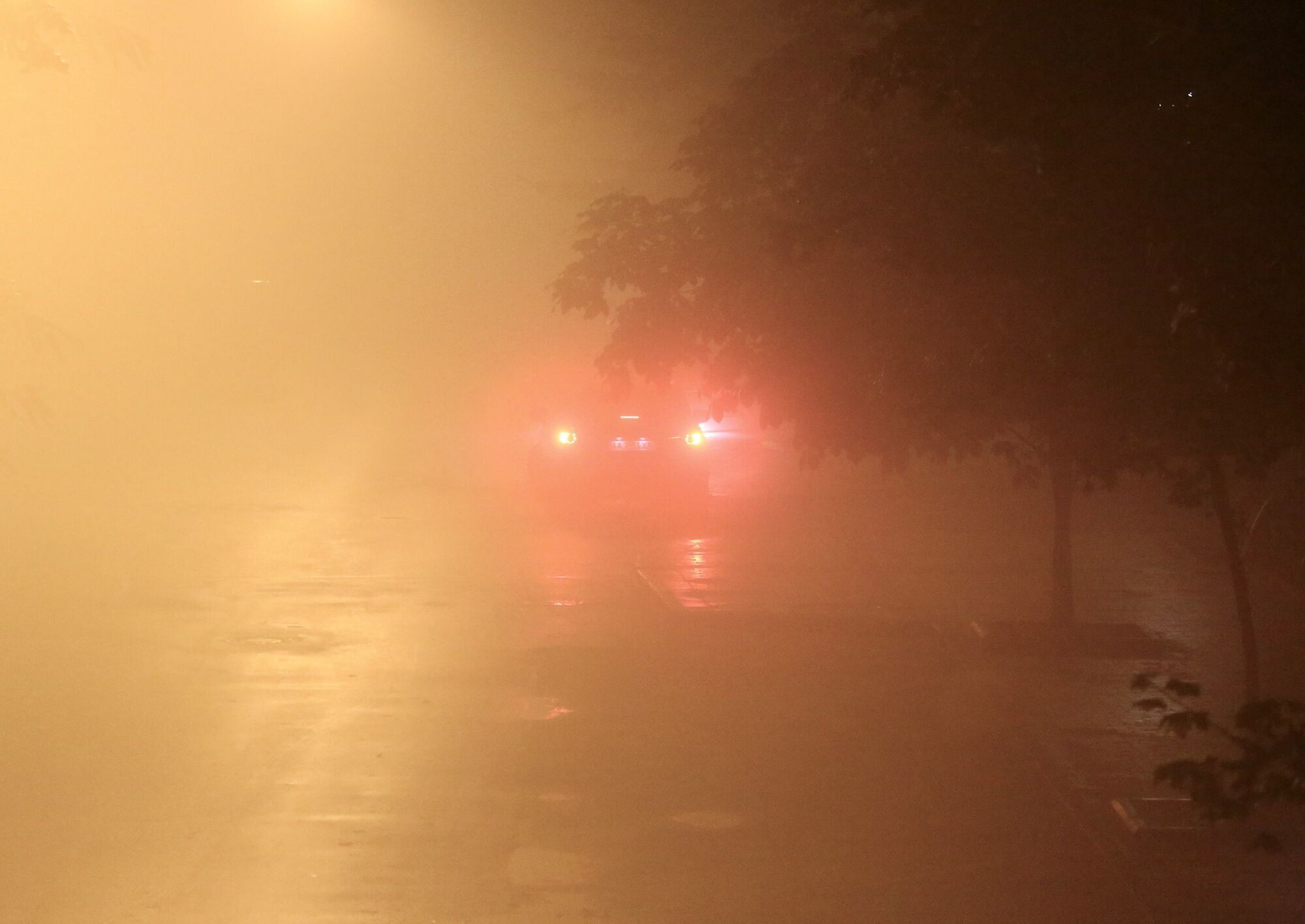В Киев в ночь с 7 на 8 октября пришел сильный туман
