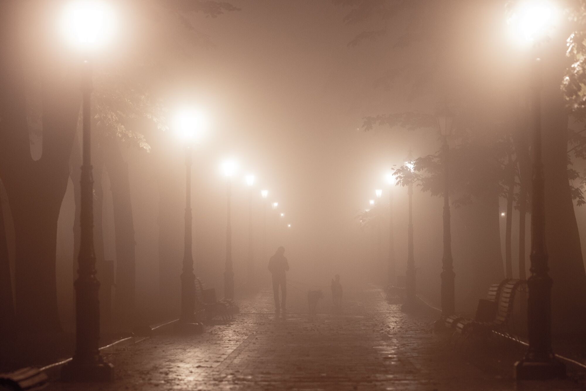 До Києва в ніч з 7 на 8 жовтня прийшов сильний туман