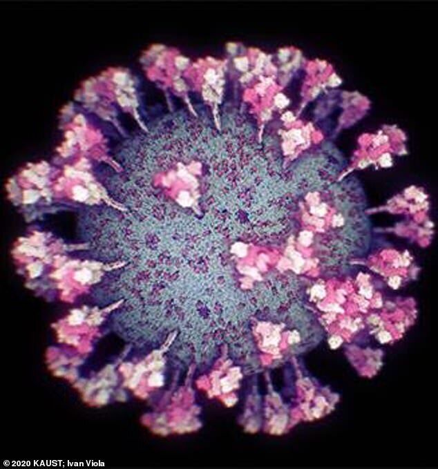 Ученые создали новую 3D-модель коронавируса, отображающую его внешний вид и внутреннюю структуру