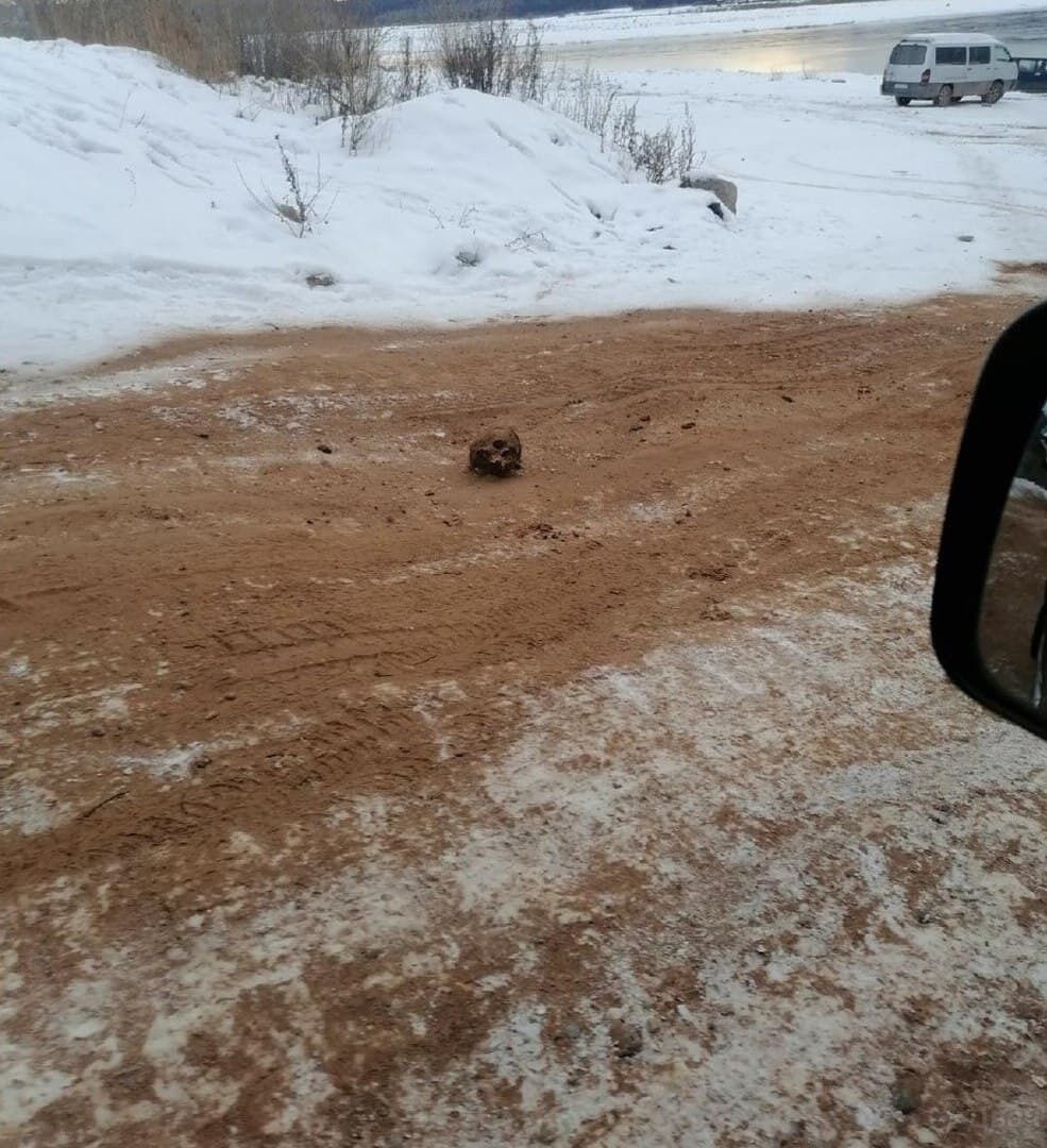 Череп на дороге в Киренске