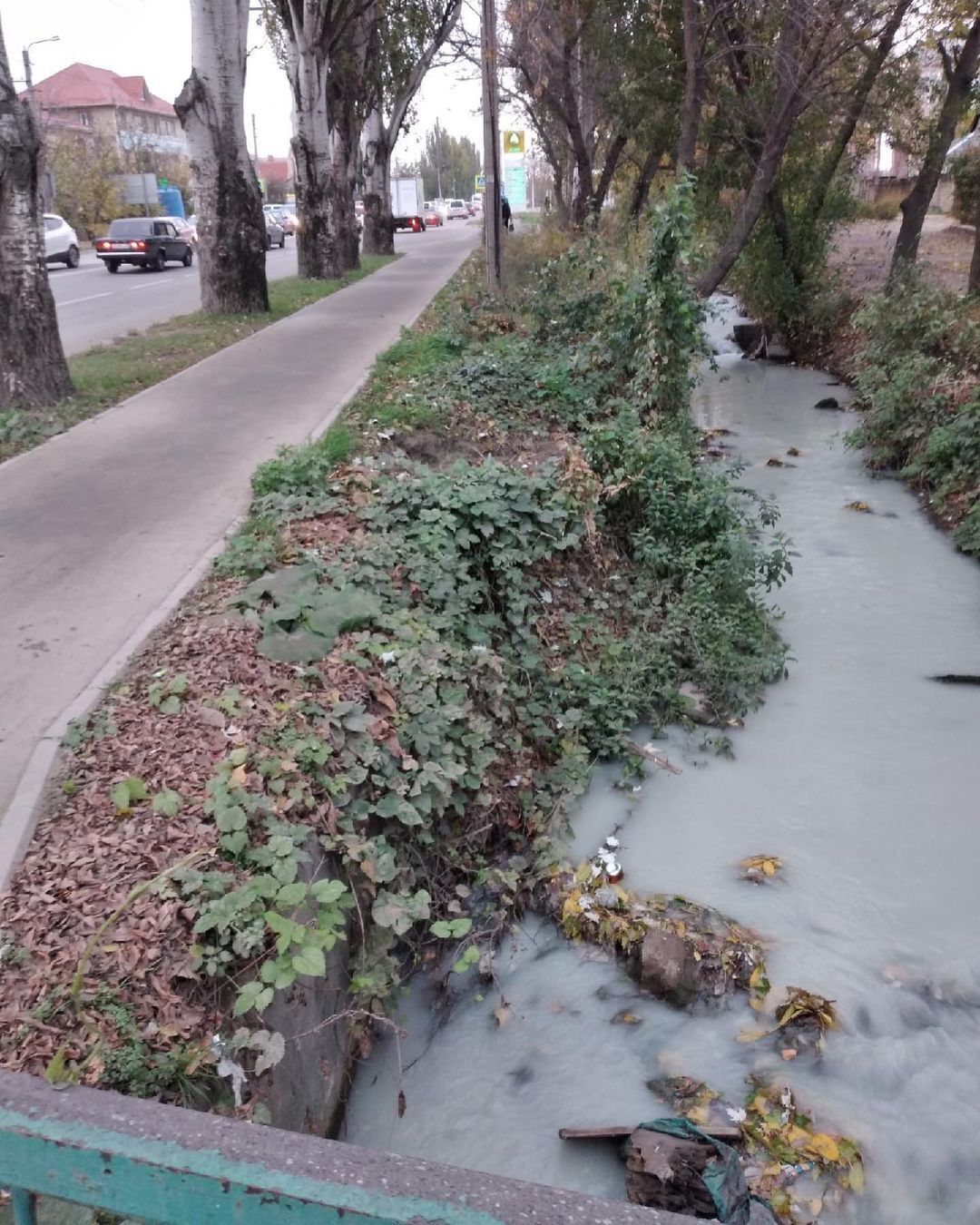 Местным жителям предложили набирать воду из местной грязной реки Славянка