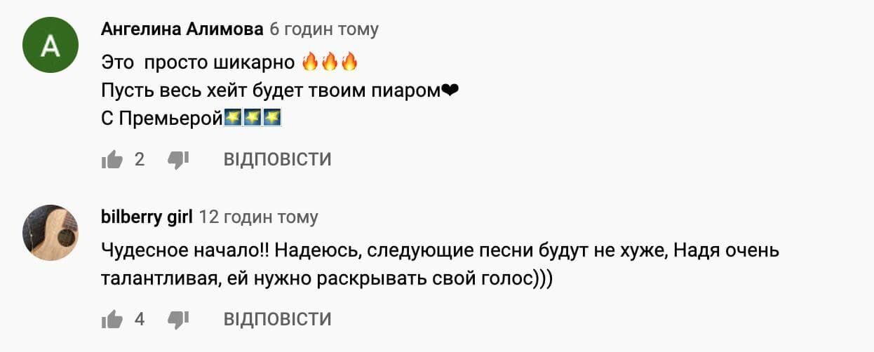 Песня и клип Дорофеевой вызвали неоднозначную реакцию у поклонников