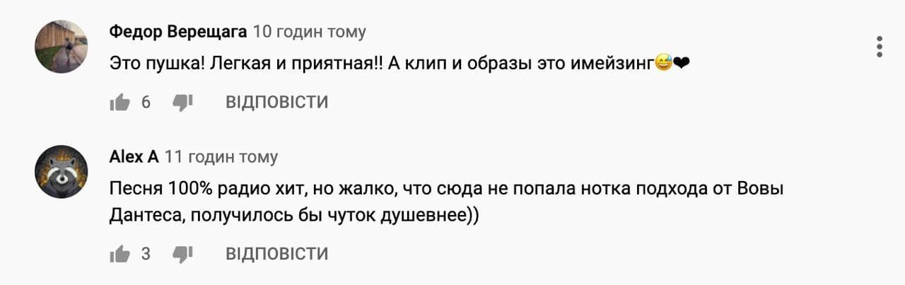 Пісня і кліп Дорофєєвої викликали неоднозначну реакцію у шанувальників