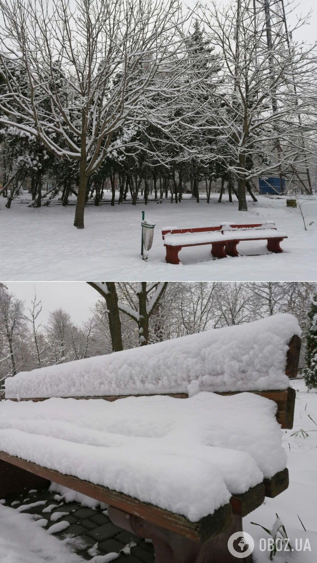 Сумскую область замело снегом