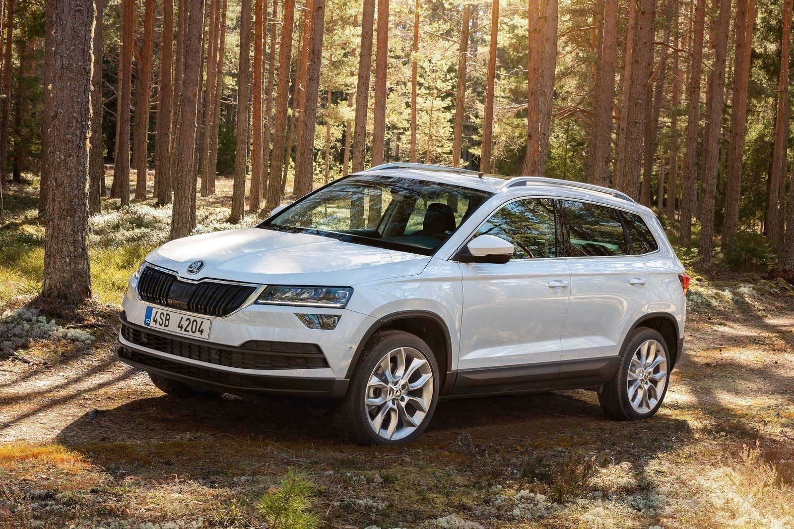 Skoda Karoq.