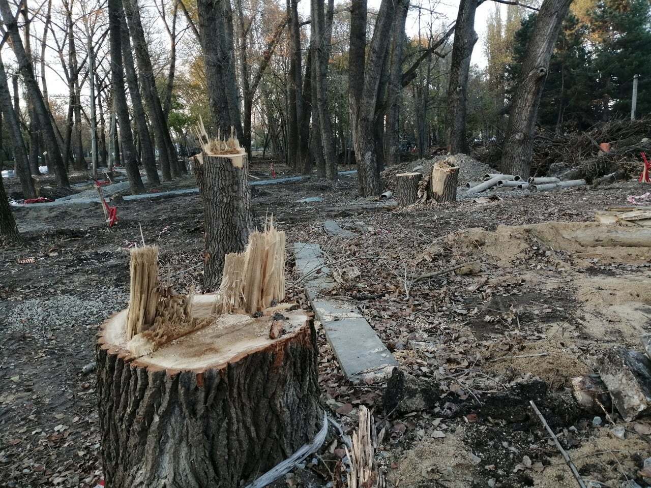 Новини Кримнашу. Тепер тут "рідна гавань", діти від голоду свідомість втрачають