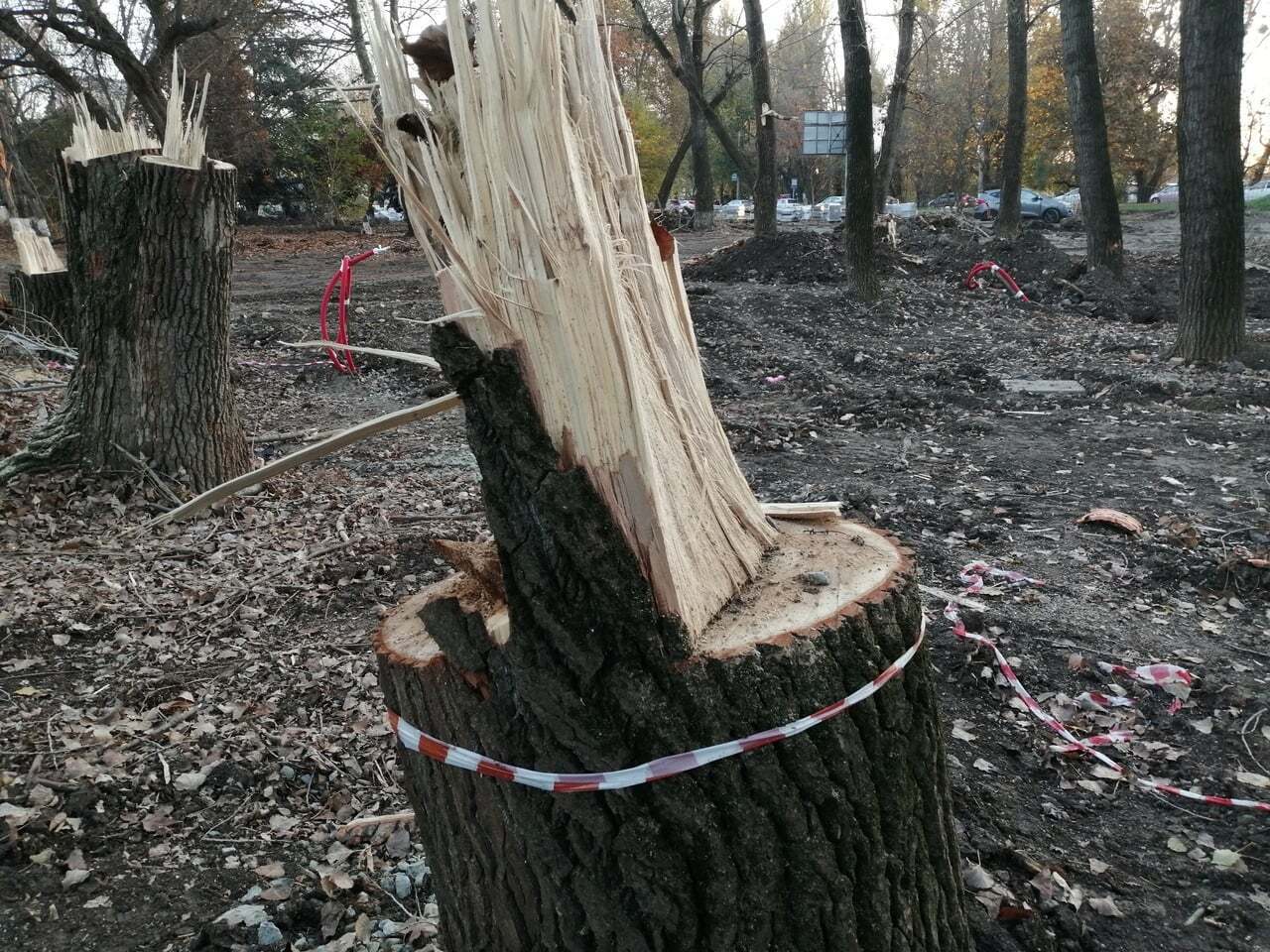 Новости Крымнаша. Теперь здесь "родная гавань", дети в голодный обморок падают