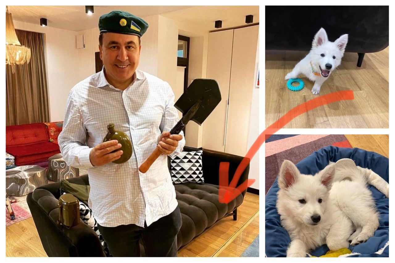 Фотографии, сделанные, очевидно, в гостиной Саакашвили