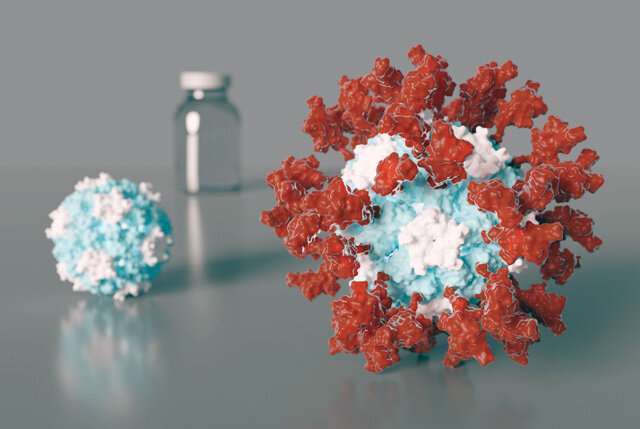 Вакцина на основі білкових наночастинок викликає сильну імунну відповідь