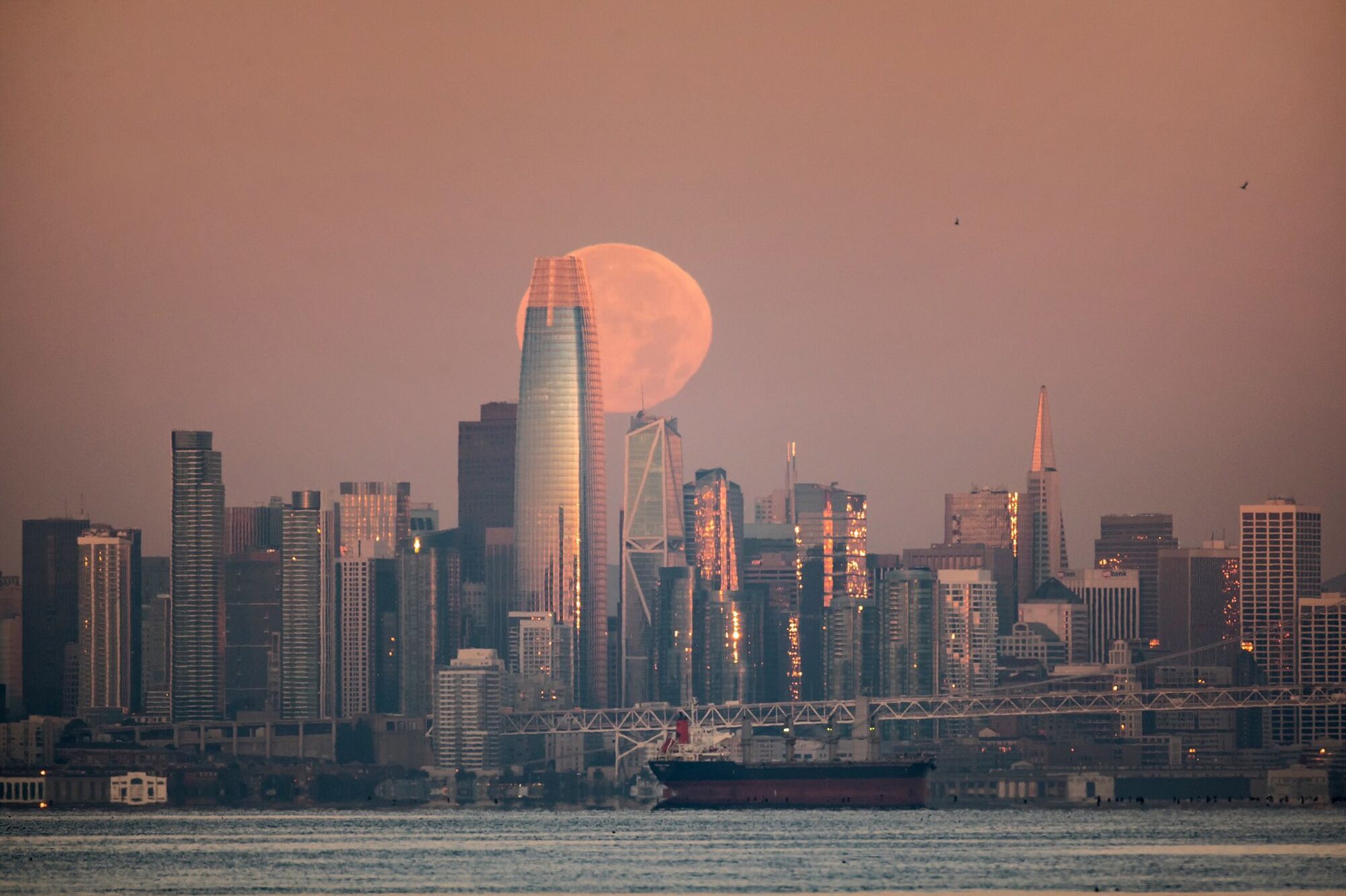 Місяць над горизонтом Сан-Франциско.