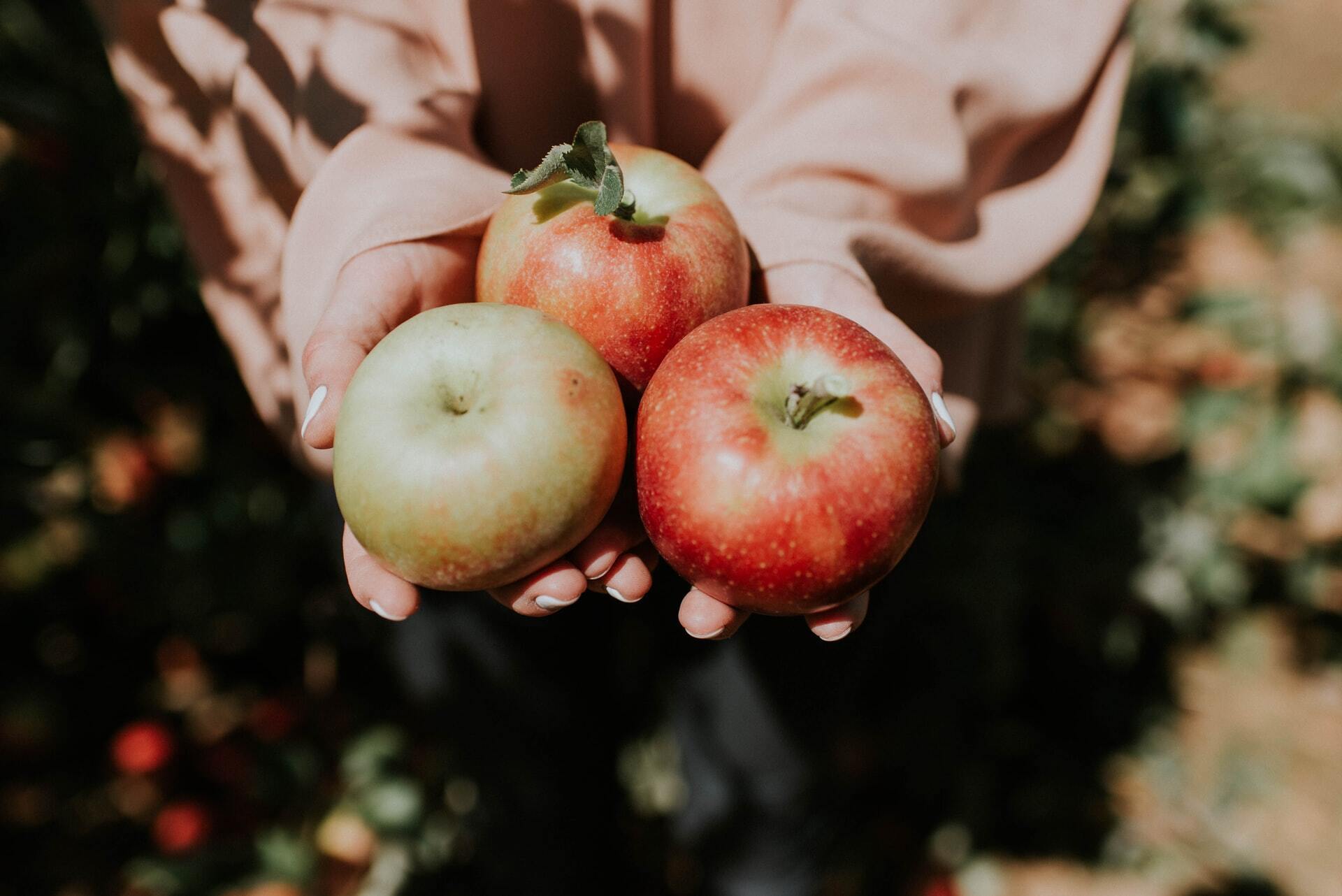Диетолог назвала 8 полезных свойств яблок