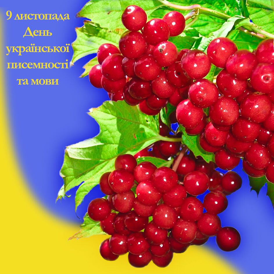 Открытка в День украинской письменности и языка