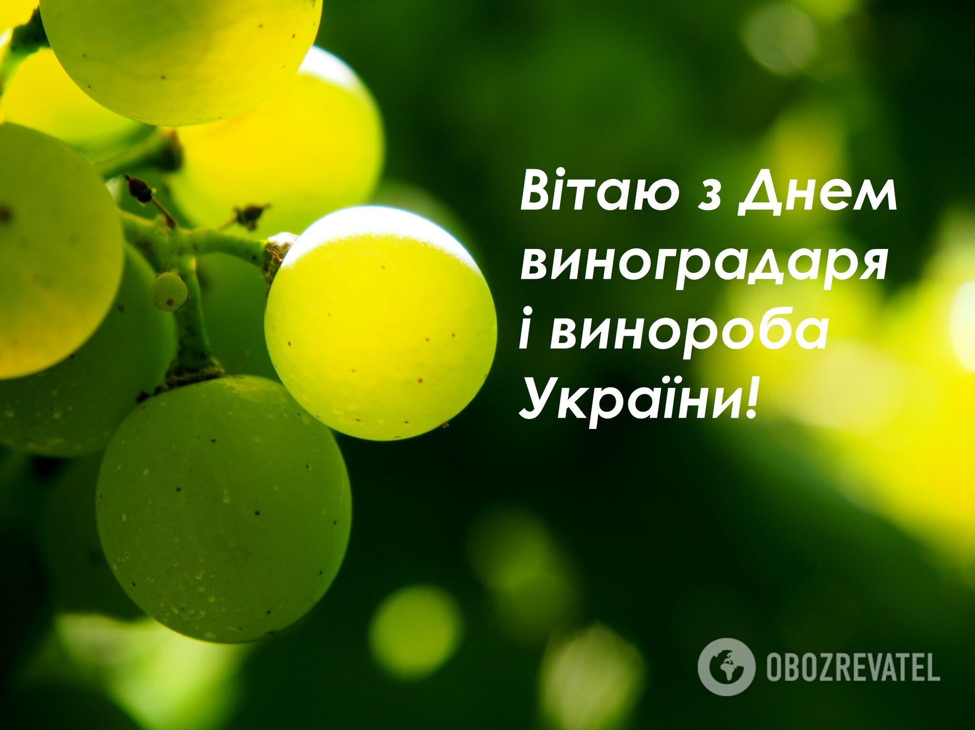 Открытка в День виноградаря и винодела