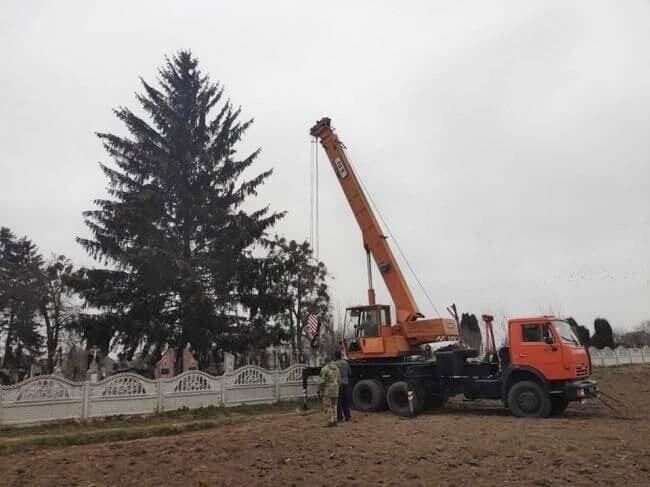 Дерево спиляли на кладовищі