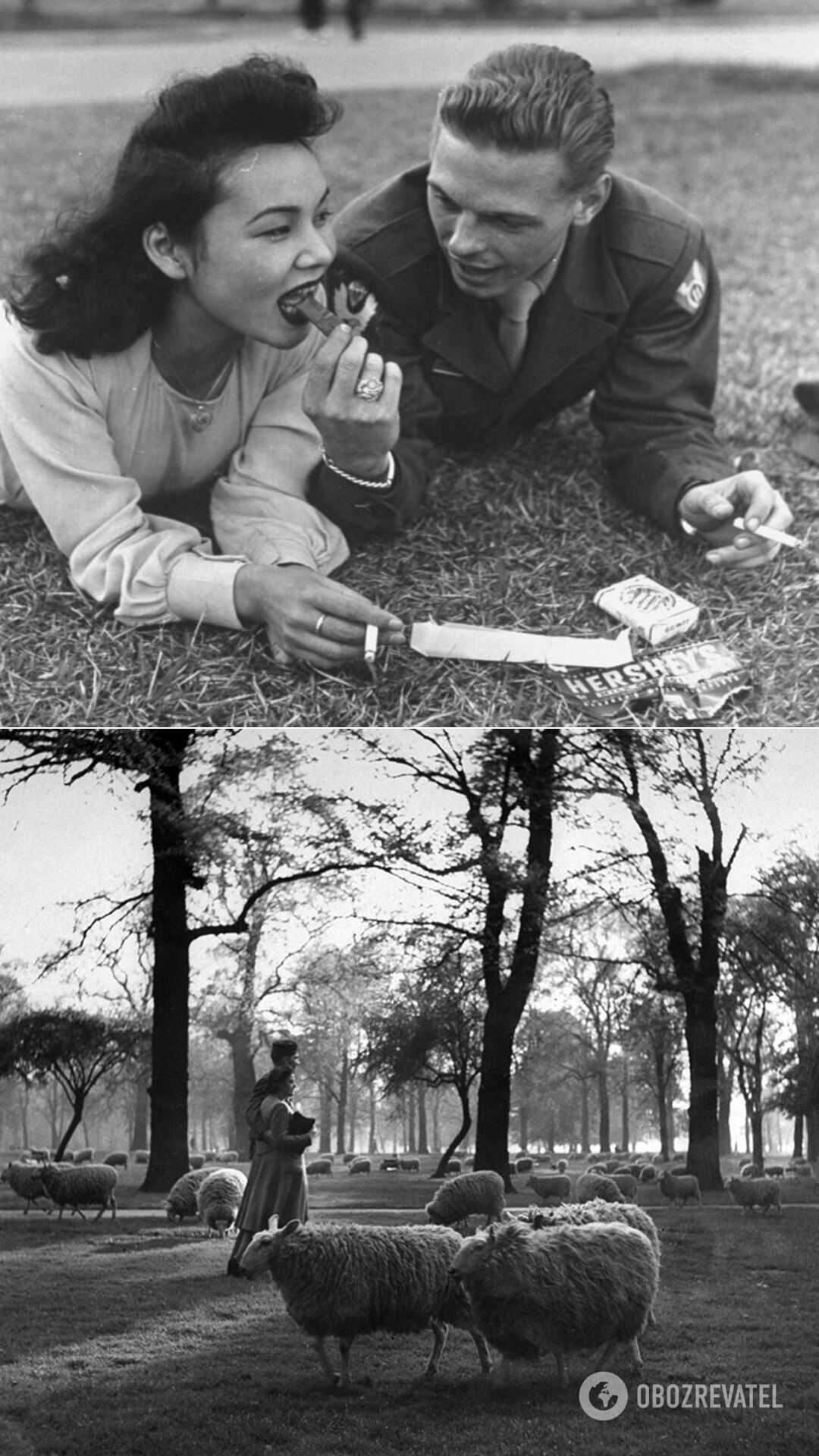 Американський солдат і місцева дівчина, 1940 року народження; солдат і його дівчина прогулюються серед овець у Кенсінґтонському саду, Лондон, 1945 рік