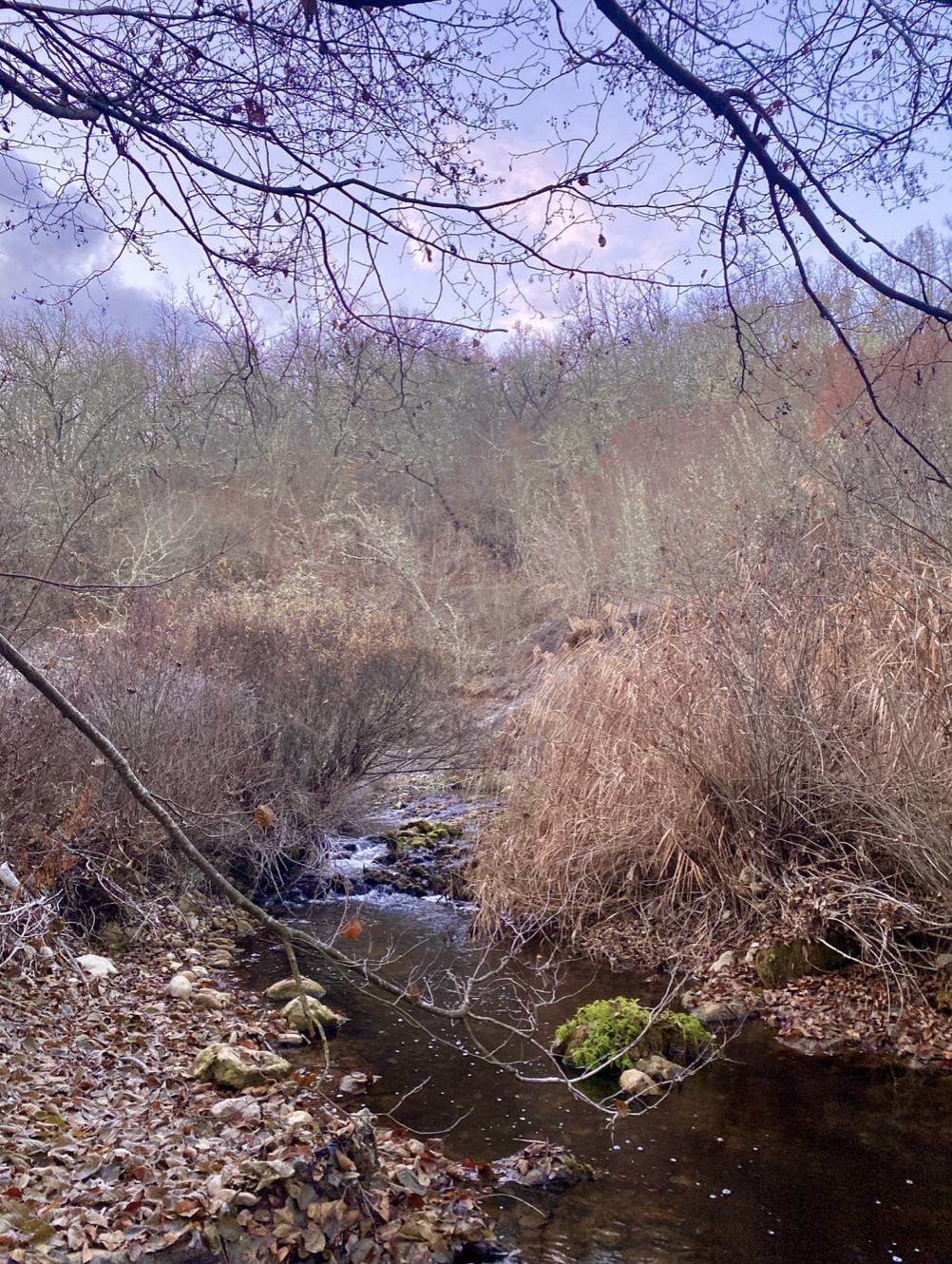 З річки викачують воду.