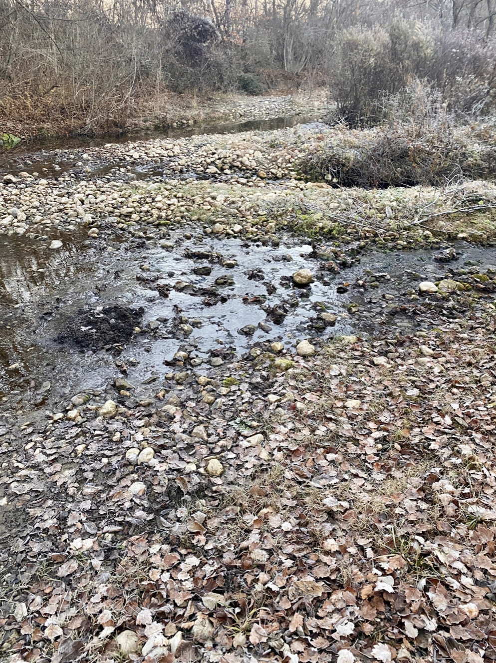 Річка Кокозка втратила половину рівня води.