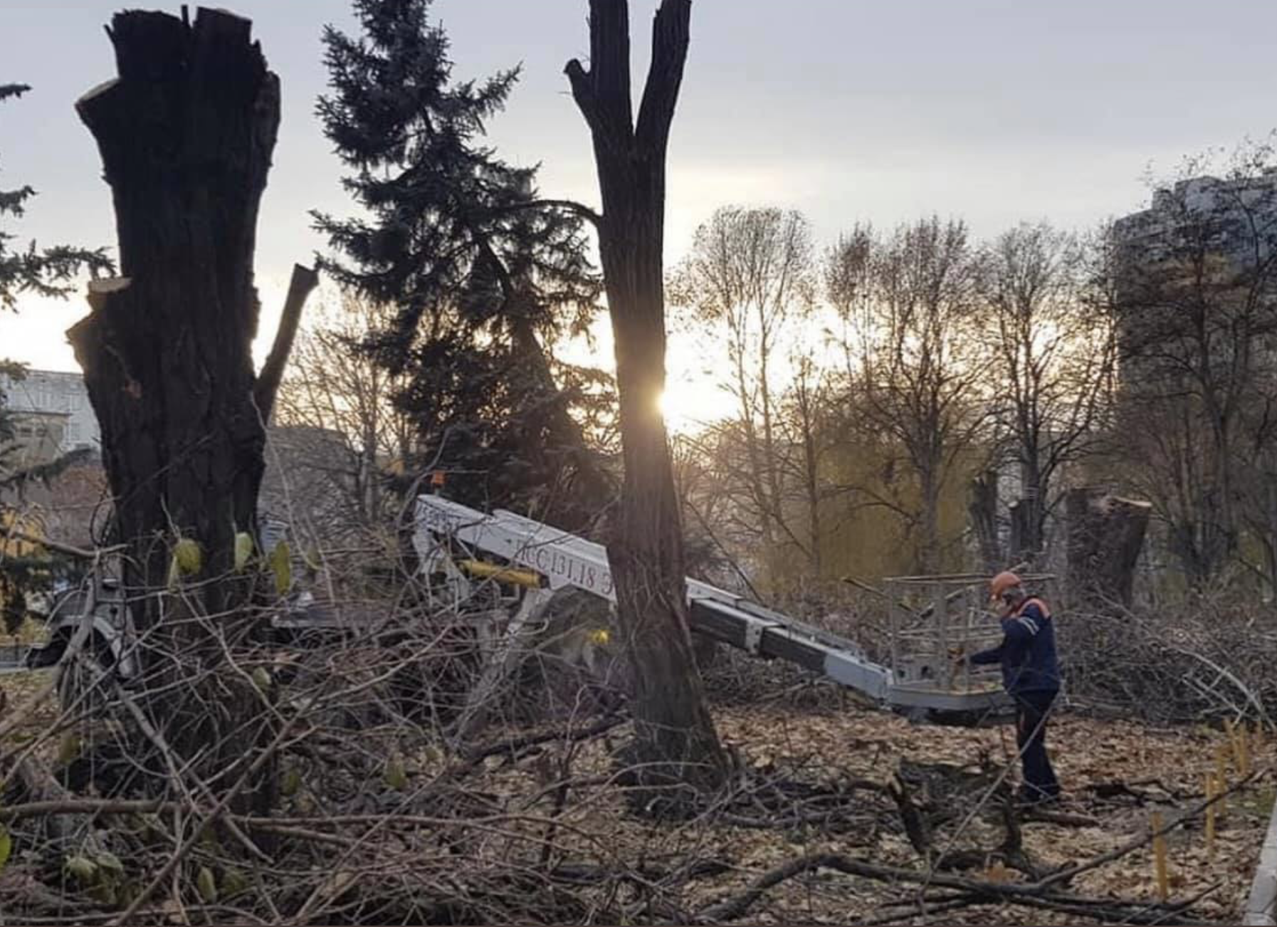 В Симферополе вырубали парк