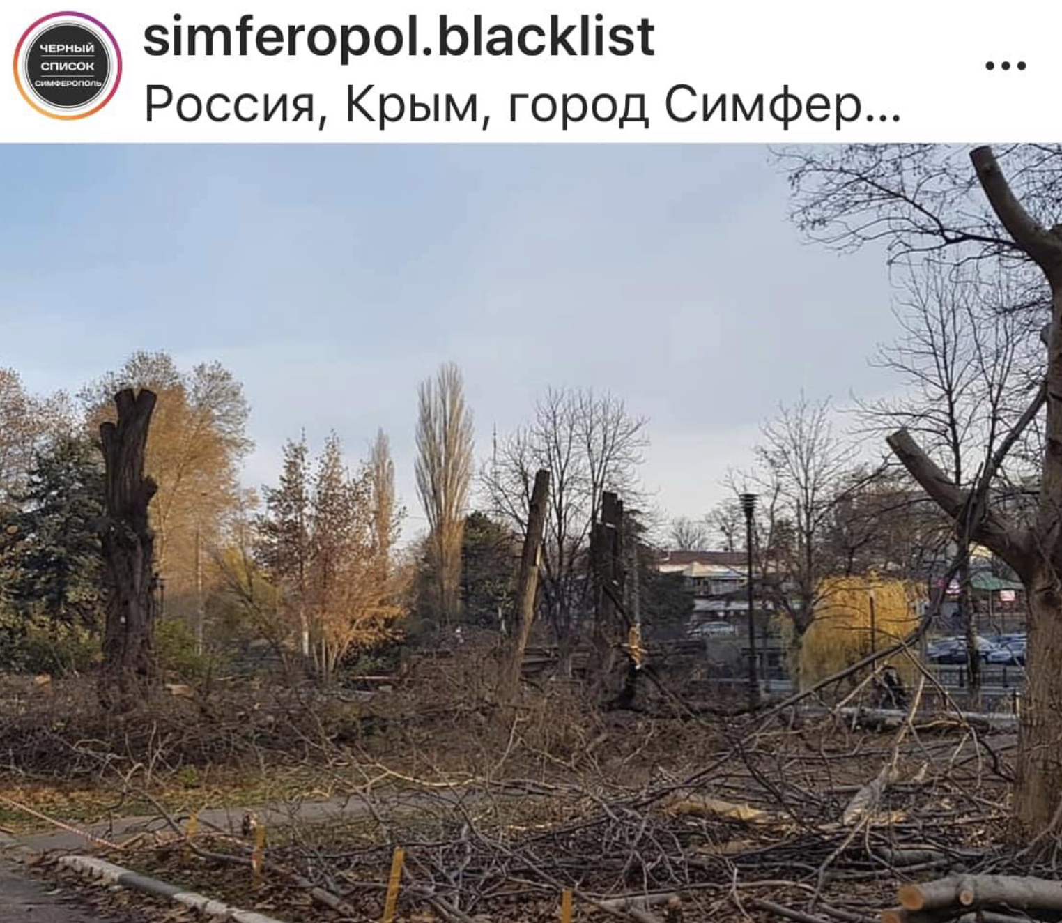 В Симферополе вырубали парк