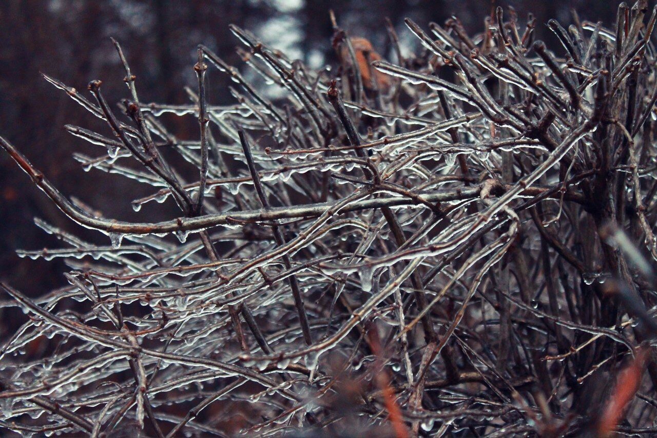 Харьков накрыло ледяным дождем