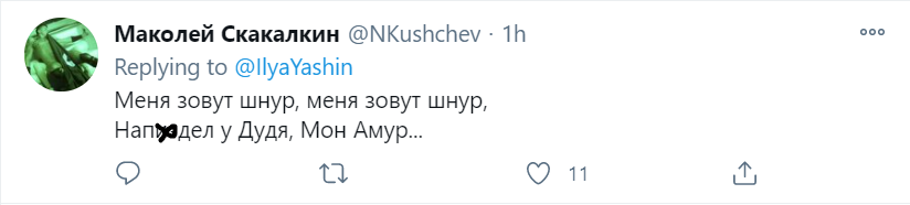 Шнурова высмеяли в сети за боязнь сказать Путину обещанное у Дудя "хватит". Видео