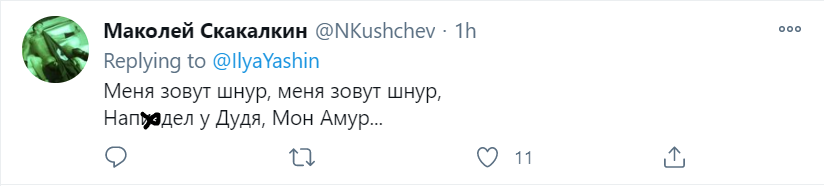 Шнурова висміяли в мережі за страх сказати Путіну обіцяне в Дудя "досить". Відео