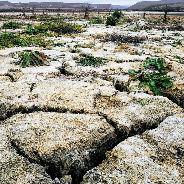 Ранее этот участок был покрыт водой