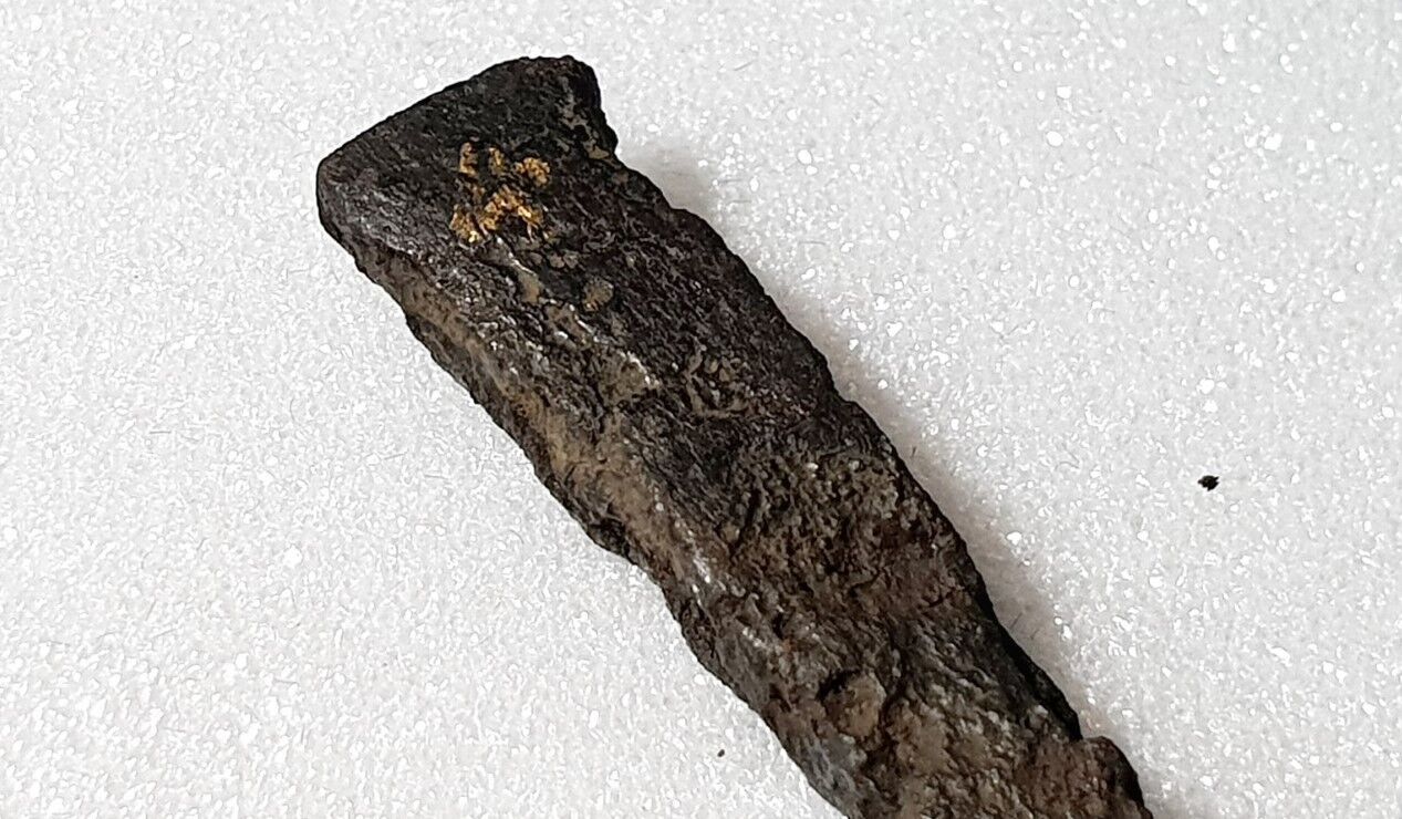 Чеські археологи заявили, що знайшли цвях із розп'яття Христа