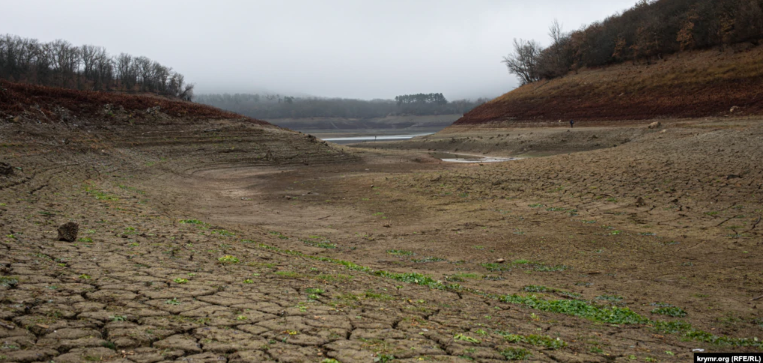 Дно Партизанського водосховища поросло бур'янами.