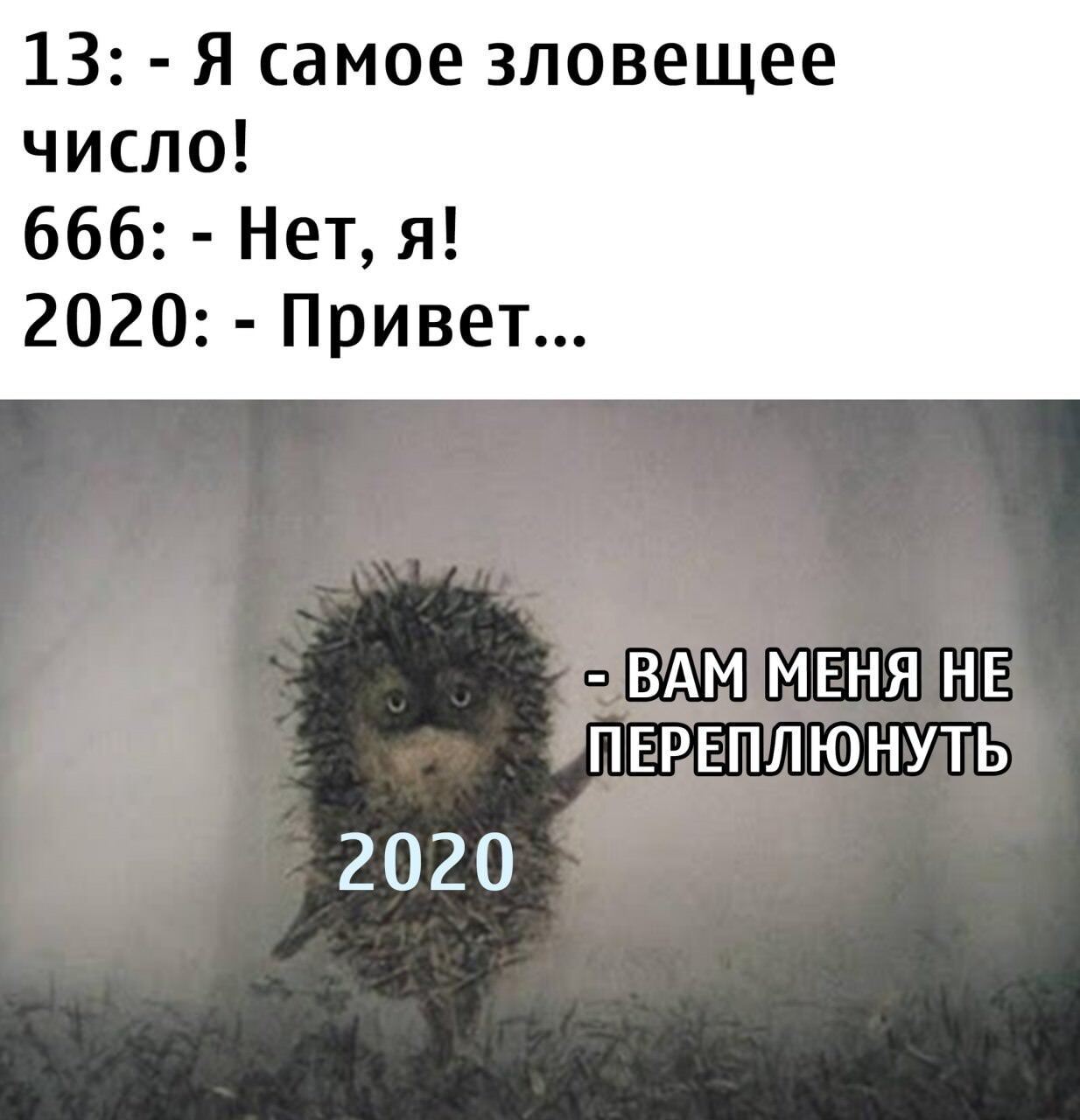 Мем про 2020 год