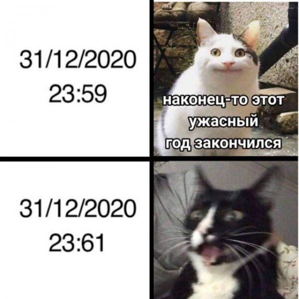 Смішний мем про 2020 рік