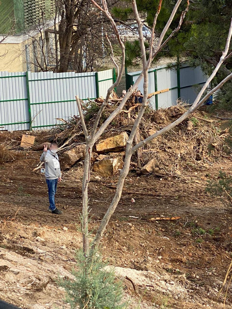 Вырубили деревья под строительство в одном из дворов Ялты